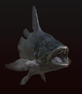 MawSonia