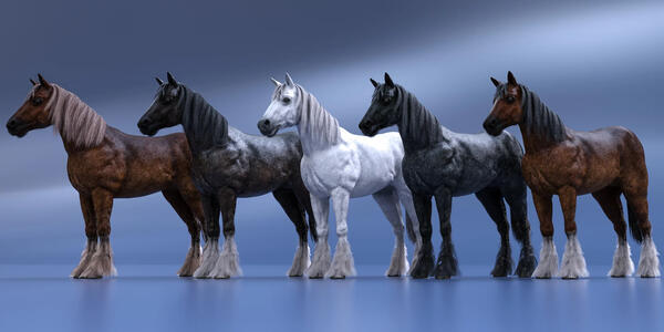 LoREZ horse