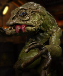 Amphibioid