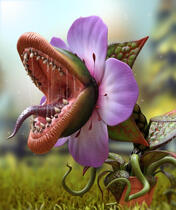 Carnivorious Plant